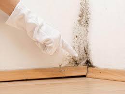 Best Environmental Consulting for Mold Prevention  in Mission, KS